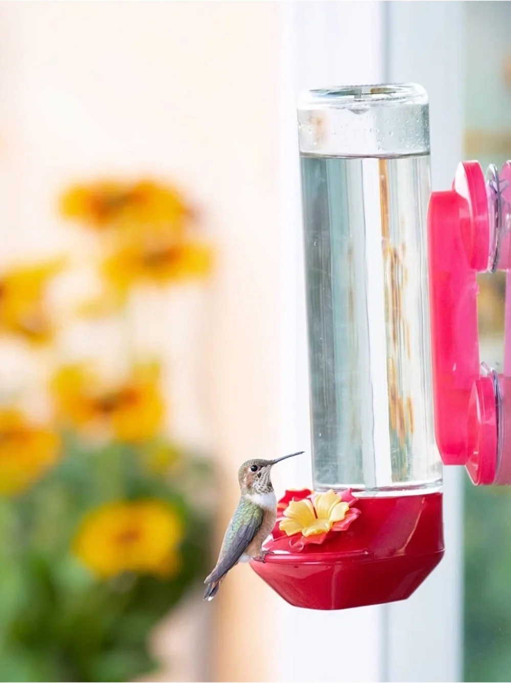 Pink Hummingbird Nectar Feeder for Window Mounting